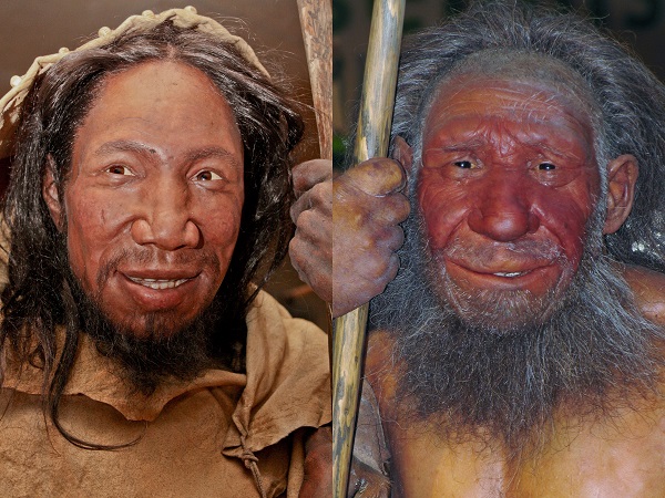 ネアンデルタール人は共食いして絶滅していた可能性が浮上! 温暖化カニバリズムか… ネアンデルタール人のイメージが急低下!の画像4