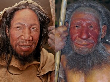 食人の検索結果 Tocana 食人の検索結果 Tocana