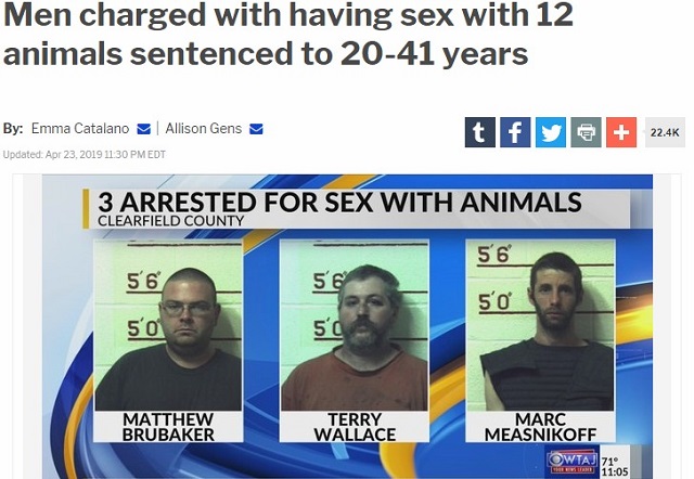 12匹の動物とセックスしまくっていた男3人衆に実刑判決! 4年間毎日SEX、イヌ、ウマ、ヤギ、獣姦AV…検事「最もおぞましい事件」の画像1