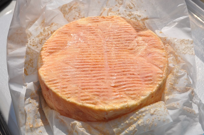 世界で一番臭い食べ物7つを食べ比べしてみた! 「クラジミアのま〇こ臭」「真夏の公衆便所臭」「口に小便臭」… No.1は?の画像4