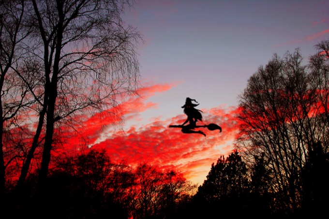 fly_3.jpg