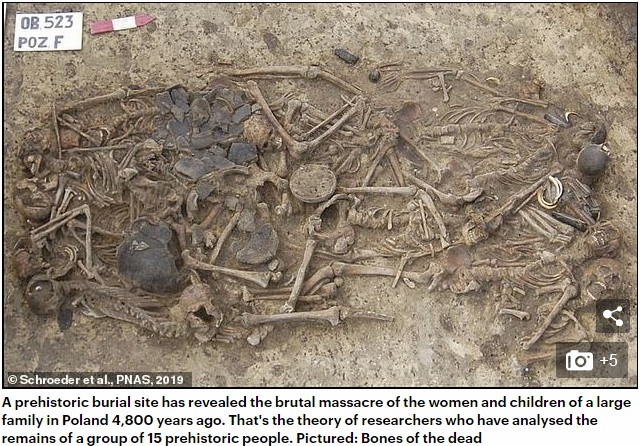 5000年前の人骨が大量出土、エグすぎる一家虐殺法が判明! 破壊された頭蓋骨が… ヤムナヤ人が犯人か!?=ポーランドの画像1