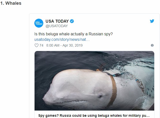 プーチンがひた隠すロシアの 奇想天外兵器 5選がヤバすぎる イルカ 子犬 ポケモンまで 第三次世界大戦の主力か
