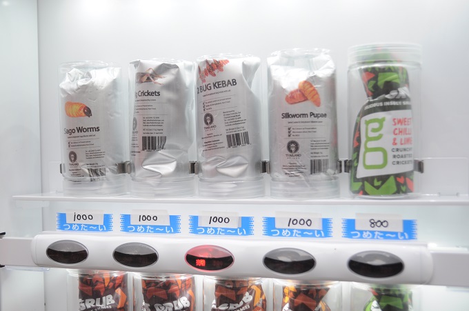 高田馬場の「昆虫食の自販機」でガチ購入&実食してみた! 美女もモグモグ… ヤバすぎる味わいから気づいたことの画像2