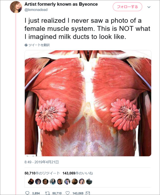 ツイッターで「乳腺組織の解剖図」がバズるも、強烈すぎてアカウント凍結！ 醜悪か美麗か… 論争に発展！の画像1