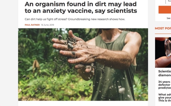 現代人を救う「ストレスワクチン」開発へ! マウス実験成功、微生物注射で衝撃の変化の画像2