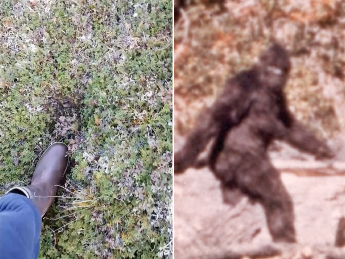 カナダ国境で ビッグフットの足跡 が激撮される 間違いなく本物 成人男性の2倍の大きさで Umaの新証拠