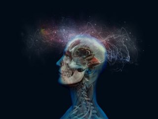 「脳は宇宙意識の受信機にすぎない、自我は宇宙意識の一部」科学者が断言！ 利他主義や一体感の謎が解明し、スピと科学が融合へ