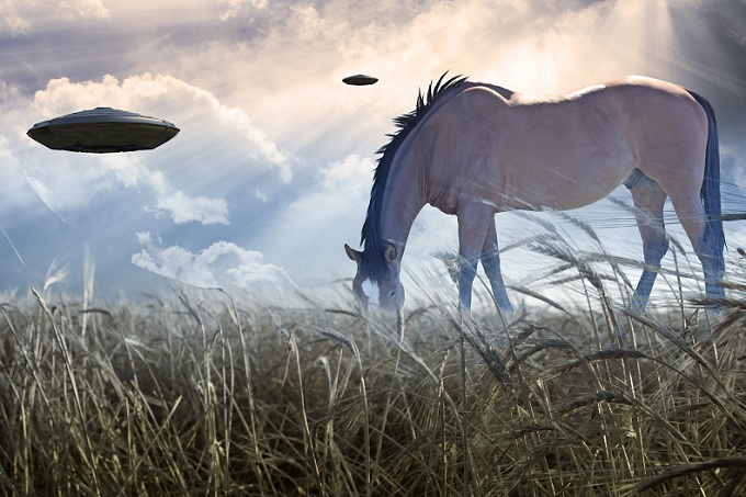 【宝塚記念】日本の競馬は宇宙人が支配していた… JRAも知らない衝撃の事実判明か!? 謎の暴露集団「七騎の会」が立ち上がる!の画像2