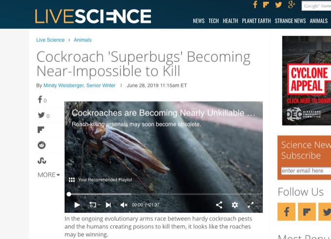 ゴキブリは殺すことがほぼ不可能にまで爆速進化中と判明! たった1世代で最強生物化、人類はお手上げ!?の画像1