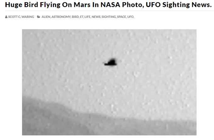 「火星の空を飛ぶ不死鳥」がキュリオシティで激写される!? これぞ火の鳥…火星写真はカナダのデヴォン島で撮影か?の画像2