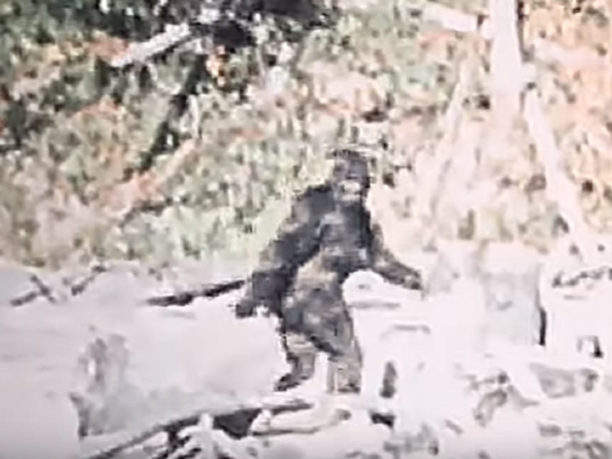 あのビッグフット映像が4kリマスター版で新登場 パターソン フィルムの真偽を鮮明映像で解明へ