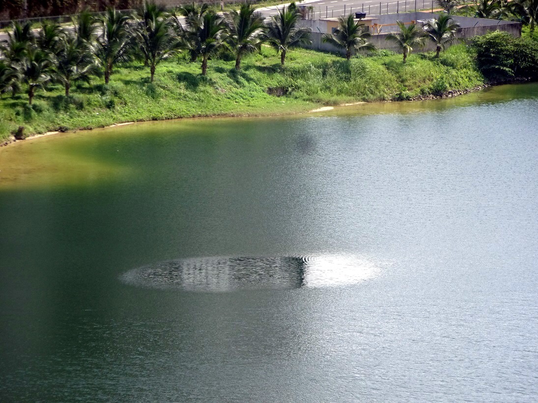 マレーシアの湖に10メートル級巨大UMA出没、撮影に成功！ 巨大エイ「プラークラベーン」か…専門家「見たことがない！」の画像5