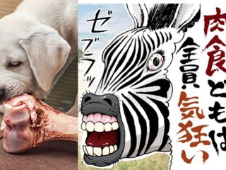 過激派ヴィーガンのやばい話を暴露シリーズ！ 反犬肉活動家から藤倉善郎に届く不気味なメールの内容公開！