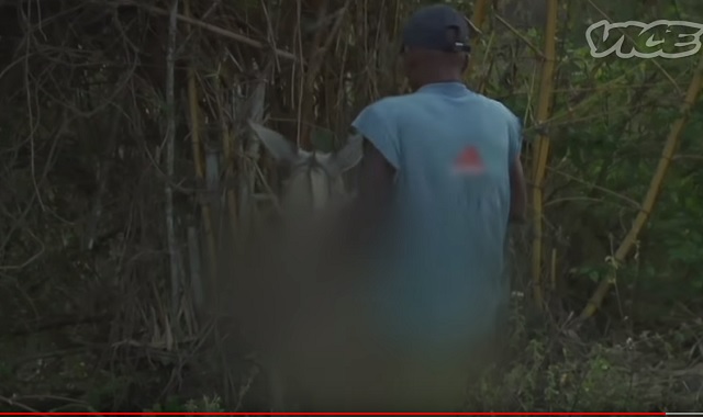 【超閲覧注意】ロバとの獣姦に明け暮れる男たちの貴重映像! 14歳少年「ロバのプッシー最高」実演も!=コロンビアの画像6
