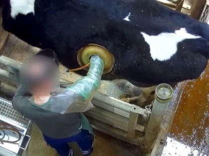 サーカスの動物たちは本当に虐待されているのか 日本中で高まる非難の声 潜入してわかった衝撃の真実とは