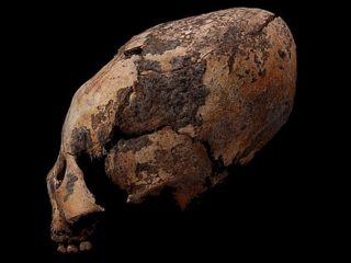1万2000年前の東アジアにも“長頭人”がいたことが新判明！やはり宇宙人の影響か… 世界各地で驚きの“共通属性”が明らかに！