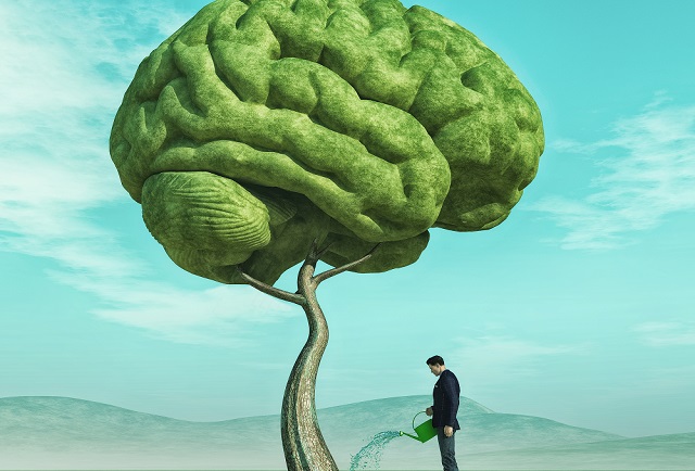 「植物に意識はあるか否か」科学者の間で白熱する論争がつまらないワケとは!? 最新の量子脳理論を考慮すべきの画像2