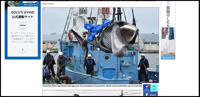 日本の商業捕鯨再開で海外から怒りの声多数「野蛮、恥を知れ」「日本製品はボイコットしろ」反論も…!?の画像2
