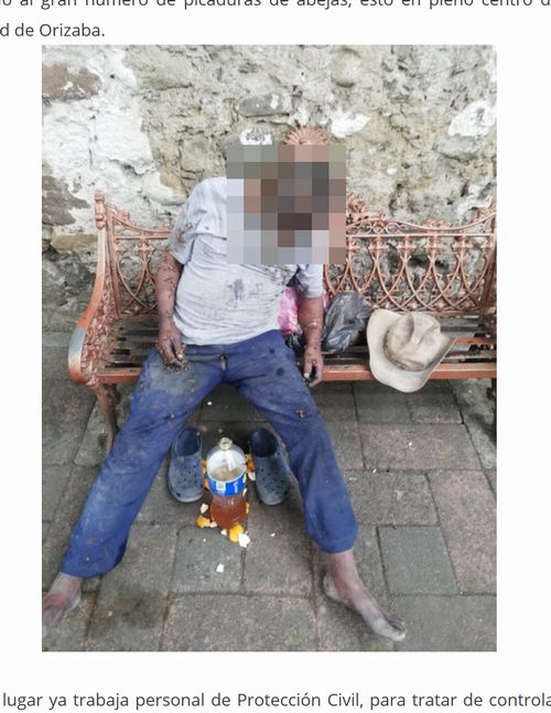 【閲覧注意】殺人蜂に襲われて死んだホームレスの悲惨すぎる姿! ベンチで果物を食べていたら群がってきて…=メキシコの画像1