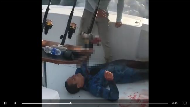 【閲覧注意】人喰いザメに襲撃された男の末路がヤバすぎる! 2つの人体パーツが破壊された悲惨な姿… 夏の海の恐怖!!=米の画像1