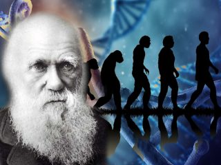 「ダーウィンの進化論は完全に間違い」イエール大教授が徹底解説！ 賛同科学者500人超！