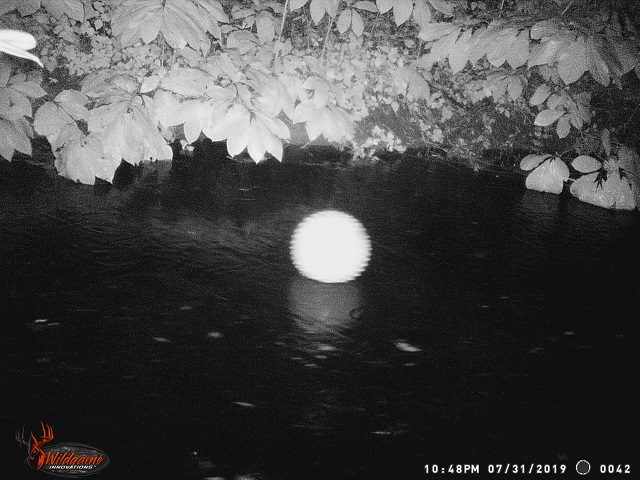 川に浮く「超巨大オーブ」が激写される…とにかくでかい! 米軍も調査するエイリアンオーブが出現か!?=米の画像2