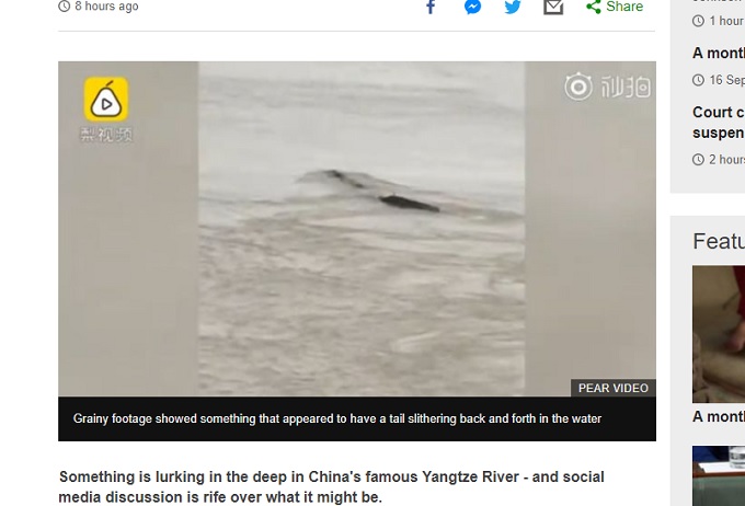 中国版ネッシーか、長江を泳ぐ超巨大UMAが激撮される! 水質汚染でバケモノ化の恐れ… 学者たちもガチ議論紛糾!の画像1