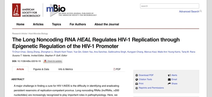 HIVの「キルスイッチ」を発見、感染細胞の増殖を阻止! 抗ウイルス剤が不要に…画期的ブレークスルー到来!の画像2