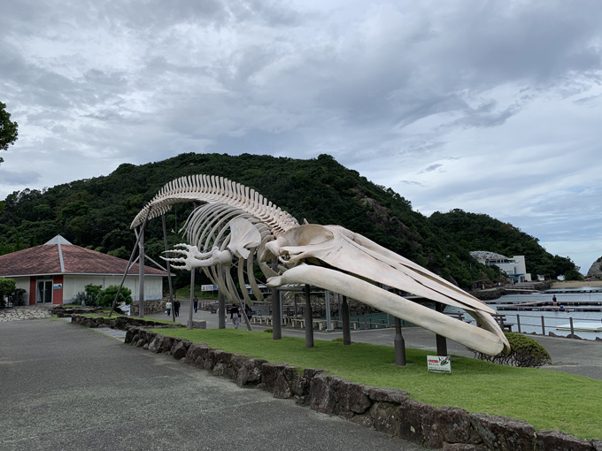 7ページ目 シーシェパードらに標的にされる太地町 くじらの博物館 に潜入 セミクジラの0キロ睾丸も発見 村田らむ取材 ｰトカナ