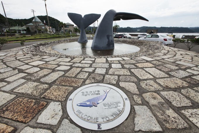 和歌山で「イルカ漁反対の団体」が超怪しげな暗闇ミサを実行していると判明！ 捕鯨も反対謎のクジラ水でお祈りも【潜入取材】の画像1