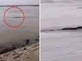 【衝撃映像】中国版ネッシーか、長江を泳ぐ超巨大UMAが激撮される！ 水質汚染でバケモノ化の恐れ… 学者たちもガチ議論紛糾！