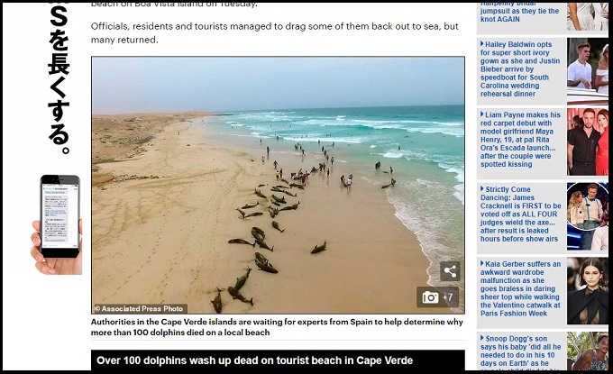 200頭以上のイルカが浜辺に打ち上げられる異常事態発生！ 地震か自殺か…集団座礁の謎=アフリカの画像1
