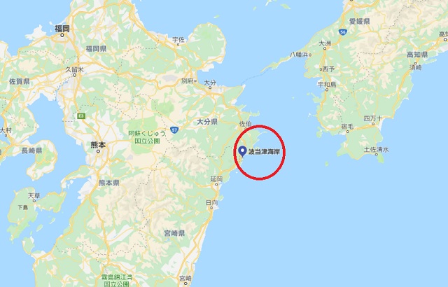 大分県波当津に12mの巨大海洋UMA「ハッシー」出現! 「クジラやイルカではない」「巨大クチバシと歯」関係者に直撃!の画像2