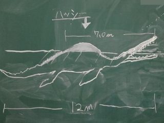 大分県波当津に12mの巨大海洋UMA「ハッシー」出現！ 「クジラやイルカではない」「巨大クチバシと歯」関係者に直撃！