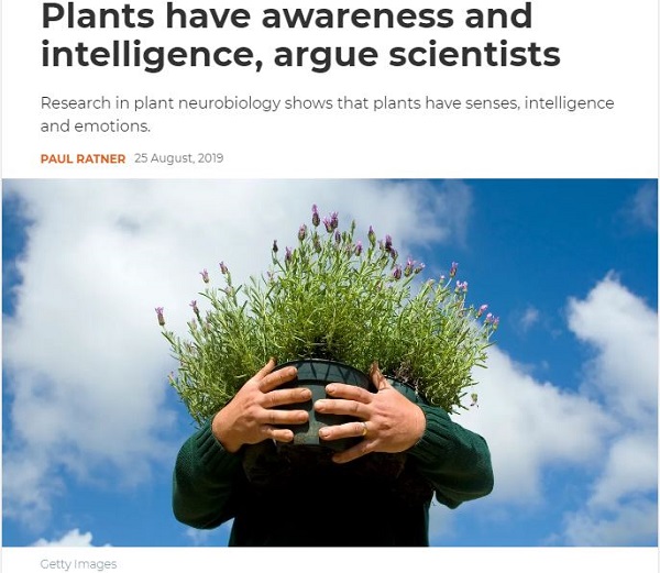 植物にも意識と知性が存在…脳さえ持っている可能性! 人間に似た20の感覚もの画像1