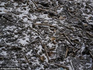 「骨の湖」ー 最新科学でも解明できない、ヒマラヤの奥地に眠る正体不明の人骨