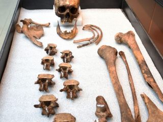 200年前の「ヴァンパイア」の亡骸、ついにDNA鑑定で身元判明！ 骨に刻まれた謎文字「JB55」、親族が“とどめを刺した”形跡も!?