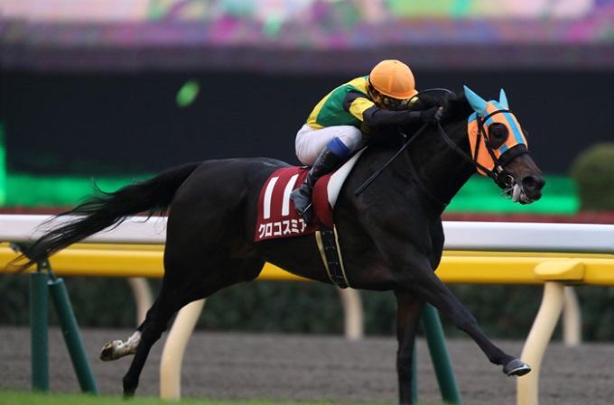 【ショック】JRAエリザベス女王杯(G1)目前、人気馬のヤバすぎる不安情報流出! 謎の最強「馬券師」集団が暴露の画像2