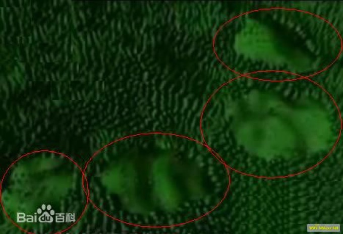 中国版ロズウェル事件を政府が正式調査! 空軍もUFOを認め…貴州UFO事件の闇が未だにヤバイ!の画像2