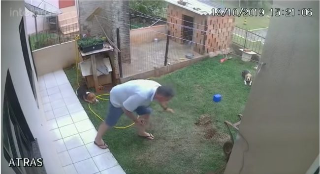 【閲覧注意】ゴキブリ駆除のために火をつけた男を襲った想像を超える惨劇とは!? 3本目のマッチをポイしたその時…!=ブラジルの画像1
