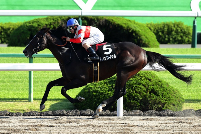 JRA天皇賞・秋(G1)でトンデモない番狂わせが起きる… 関係者に出回る極秘情報判明! アーモンドアイを脅かす関西馬とは!?の画像3