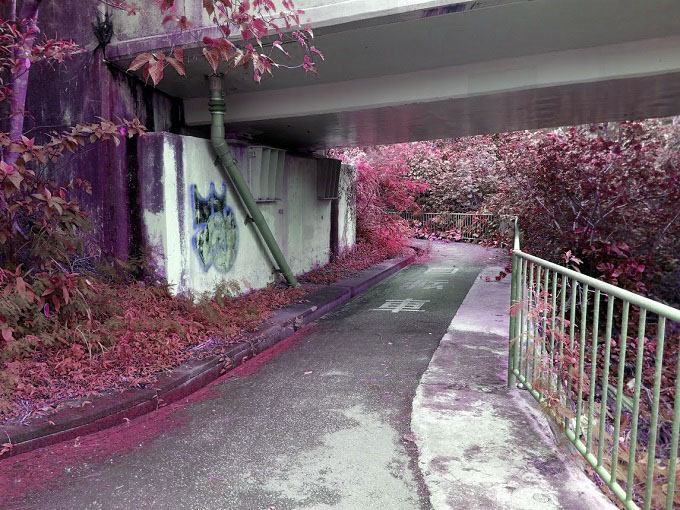 沖縄北部にあった「呪いの洋館」発狂?自殺?百体を超える霊!?「洋館」最後の住人が語った事実!の画像2