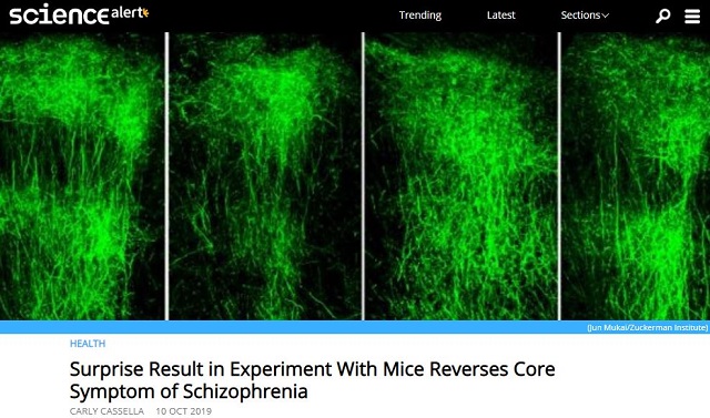 統合失調症を劇的改善する薬がついに発見される! まさかの「●●病」治療薬で脳が復活すると判明の画像1