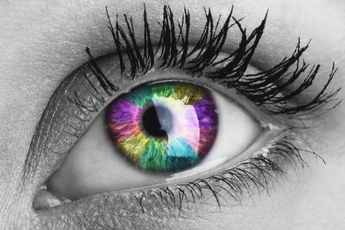 脳がブっ飛ぶお茶「アヤワスカ」徹底解説 ― 完全トリップ、DMT、LSD、脳波測定…の画像2