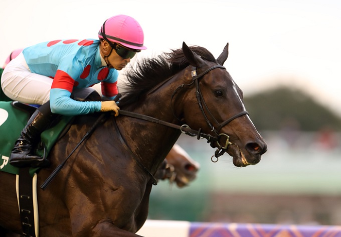 速報 的中率85 7 競馬界最強の予想会社が 神すぎる 万馬券情報を暴露して話題 一攫千金を目指すファンが狂喜乱舞中