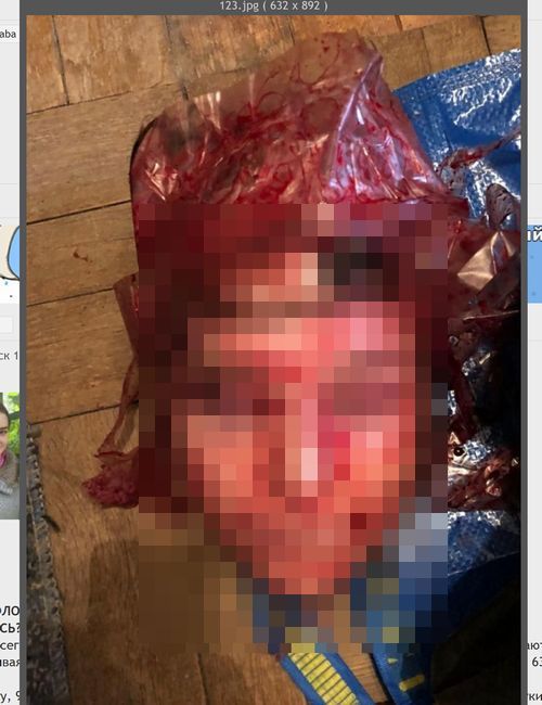 【閲覧注意】ナポレオン研究の著名教授、教え子の美女殺害「生首画像」流出! 超キ●ガイ全貌「お殿様」「ジョセフィーヌ」と呼び…!の画像8