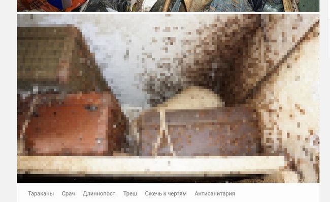 【閲覧注意】ロシア最恐のゴミ屋敷に強行突入、内部が地獄すぎる! 全方位ゴキブリ、ゴミ山からひょっこり老婆が…の画像1