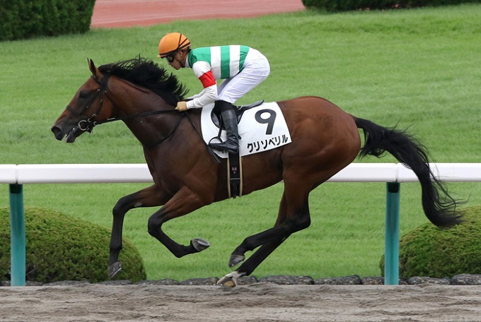 「格下人気薄のアノ馬が本気で狙い目」JRAチャンピオンズC(G1)の超特大万馬券情報流出! 競馬関係者が暴露の画像2
