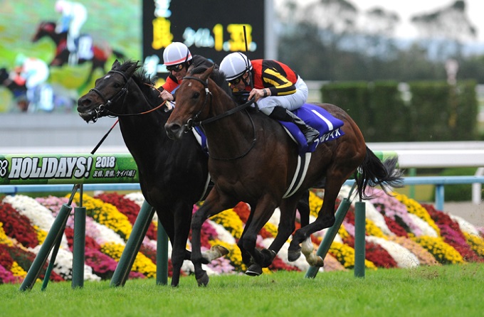 JRAマイルCS「逃せば一生後悔する」激アツ裏情報をまさかの競馬関係者が激白! 大万馬券につながる「極の3頭」に衝撃広がるの画像3